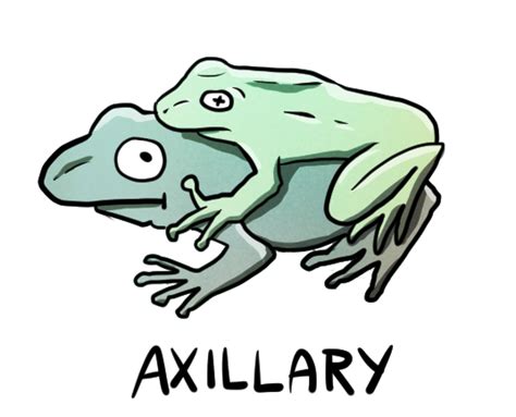 the frog sex position|Froggy